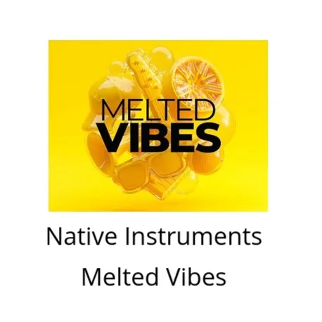 电子音乐制作工具 Native Instruments Melted Vibes