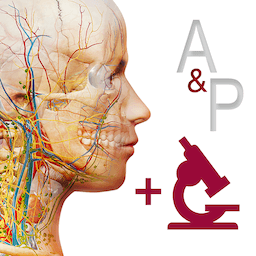 3D人体断层解剖学医学软件 Visible Body Anatomy & Physiology 6.2.07